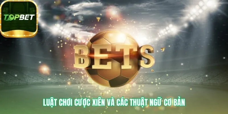 Cược xiên bóng đá và công thức tính cho mọi kịch bản
