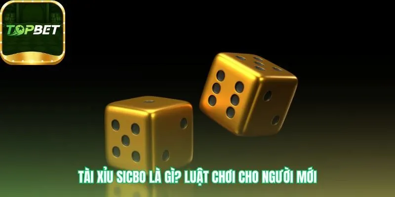 Luật chơi Tài xỉu Sicbo đơn giản dựa trên ba viên xúc xắc